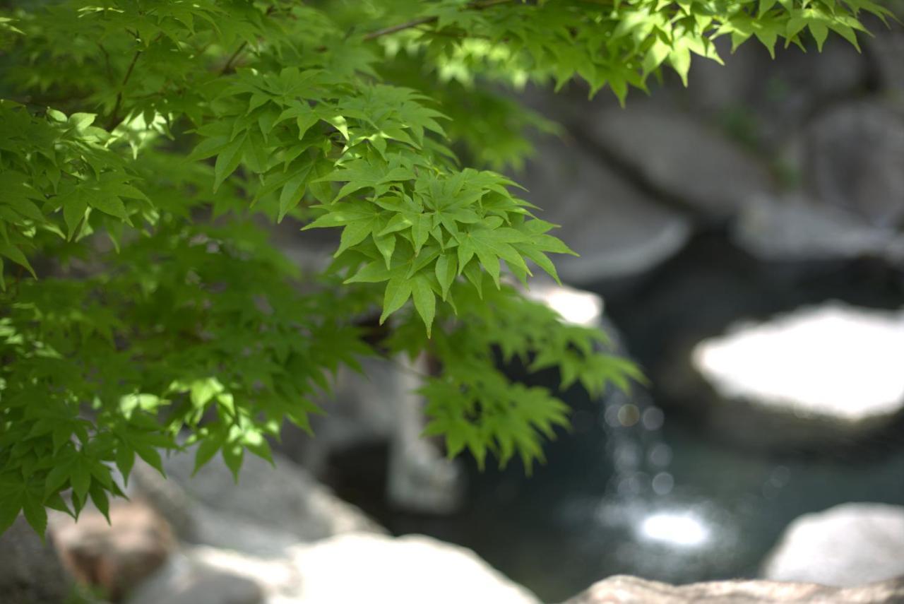 Ryokan Hacho No Yu Nikko